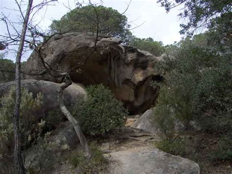 bosque encantado de orrius|The Enchanted Forest of Òrrius – Òrrius, Spain